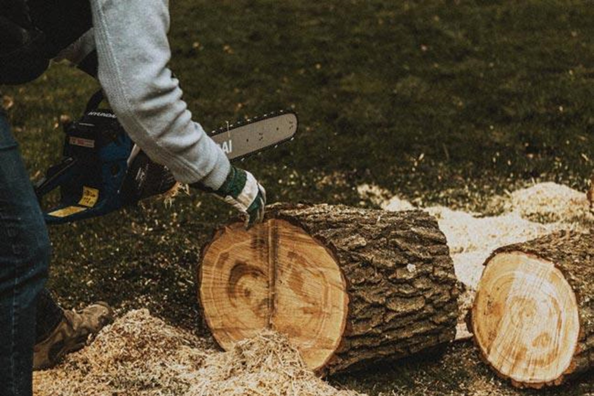 Baumstamm wird zersägt